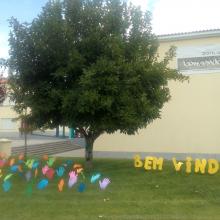 viso