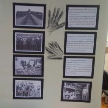 Holocausto
